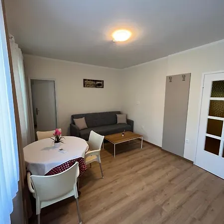 Apartment'S & Restorant Vili 公寓