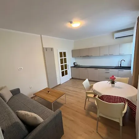 Apartment'S & Restorant Vili 公寓